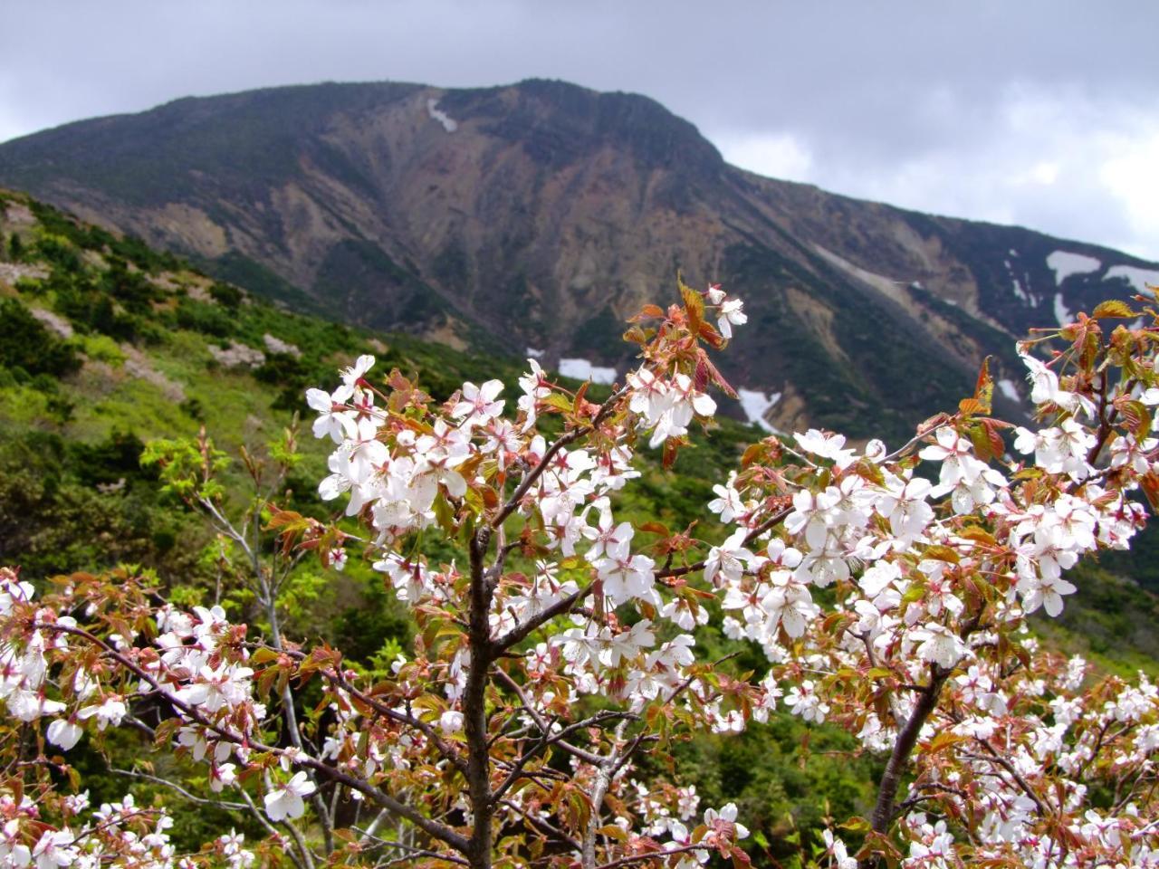 伊藤屋 Hotell Yamagata  Eksteriør bilde