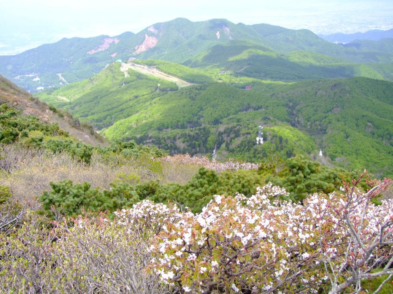 伊藤屋 Hotell Yamagata  Eksteriør bilde